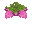 Sporenblüte
